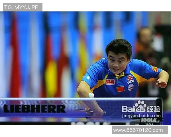 武汉乒乓球队的整体压制揭秘与深度分析乒乓球运动的未来发展