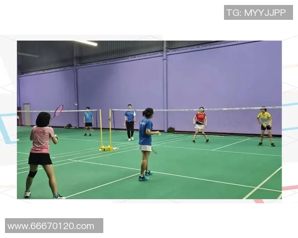 羽毛球深度解析:杭州羽毛球队如何在逆境中实现反击与崛起