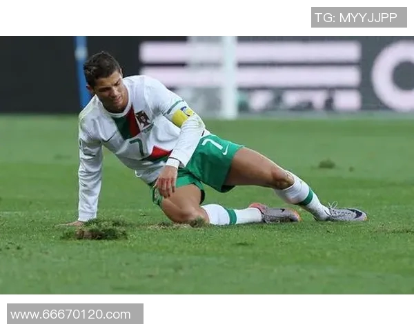 足球明星与他们心爱的狗狗们的温馨生活与趣事分享