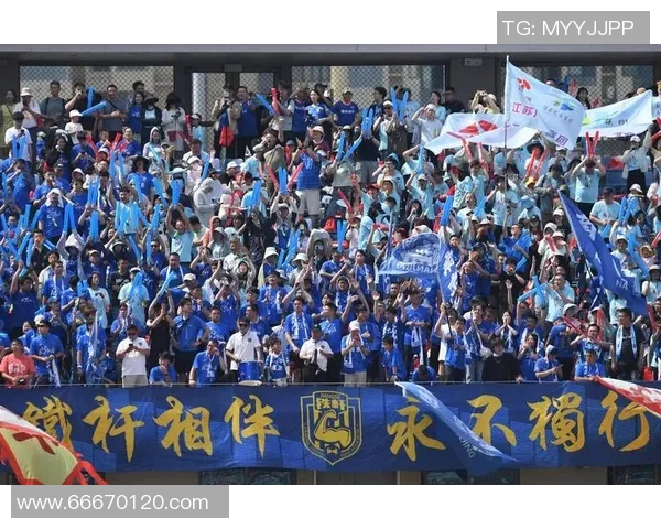 南京排球队意识对比分析：战术思维与团队协作的深度探讨