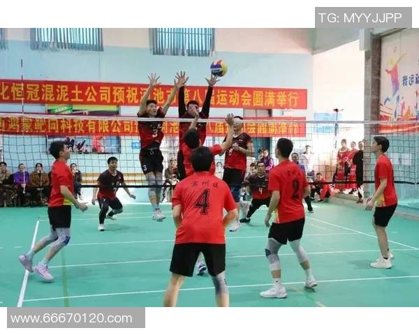 广州排球队领跑最新排球配合TOP10展现团队默契与实力 广州排球队领跑最新排球配合TOP10展现团队默契与实力