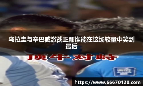 bellbet贝博官网